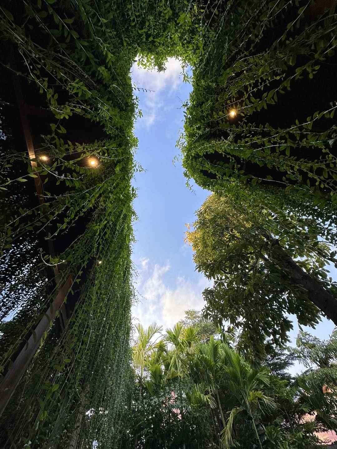 Lush greenery around the villa